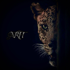 女性裸体网站大全美国视频
